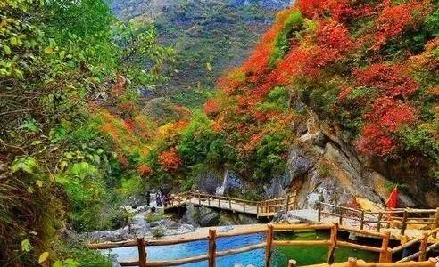 b8d118fb7c4b78e729511d487373fd0a.jpg 微信图片_20191213091218.jpg