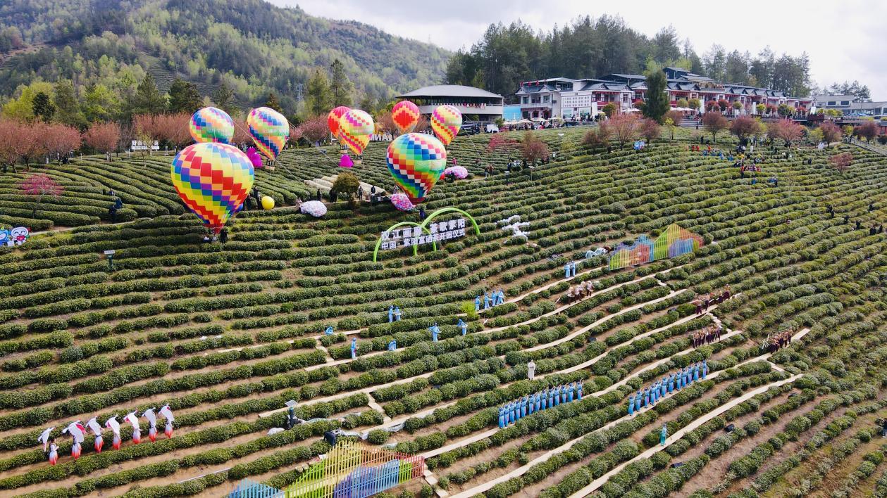 紫阳富硒茶观光园内满山翠绿。储茂银摄