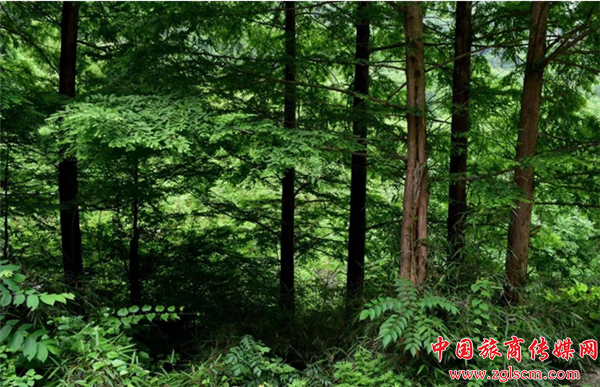 6ccc72c3601b81c7ab1df95aa9f83a18.png