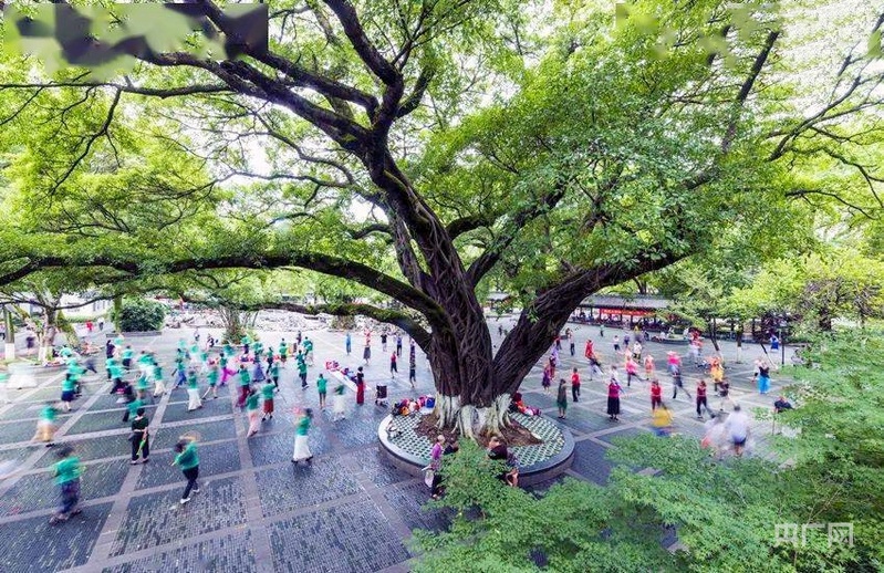 市民在赣州公园晨练(央广网发 江化良 摄)