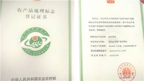 6e82d5d78af75c021906b4fc22eb5006.jpg 微信图片_20191224102444_旋转.jpg