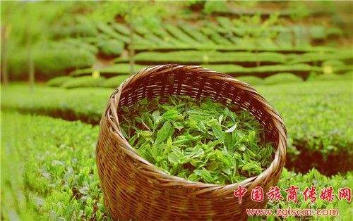 d10954ad25098653bc750c16f246dae9.jpg