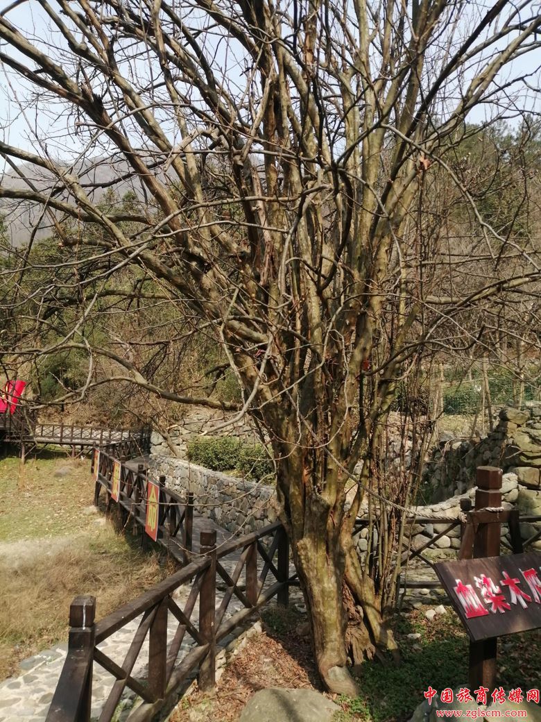 6e061b1bef06da07d1ece18c186a836c.jpg 图片4(1).jpg