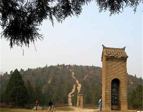 1b3b6f5359b2d6818e28db6f249e2654.jpg 图片2.jpg
