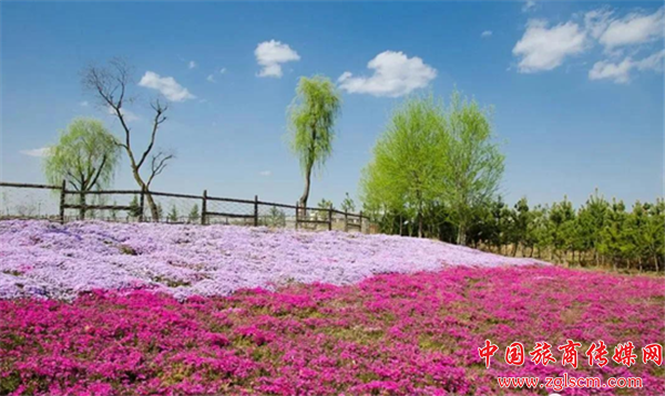 94cd5df63cf98541971bf9aeb58a4d1d.png